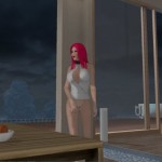 Chathouse 3D voyeur